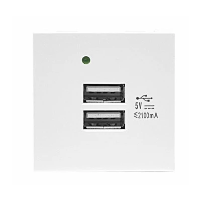 Duales USB-A-Lademodul
